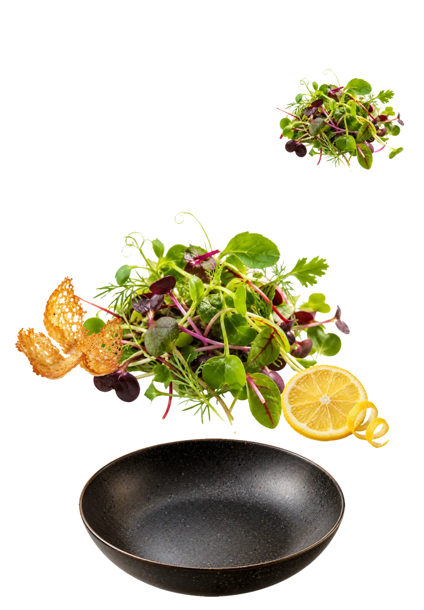 Cuenco negro con microbrotes variados, lim&oacute;n y crujiente de ma&iacute;z